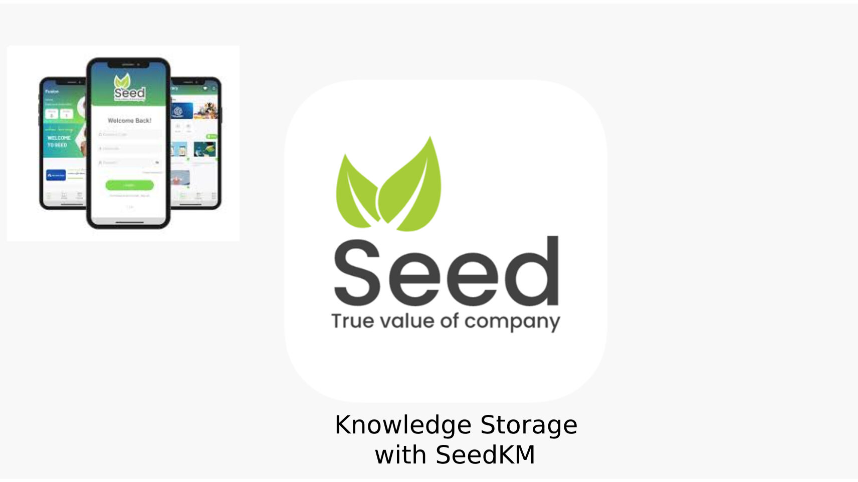 seedkm knowledge storage